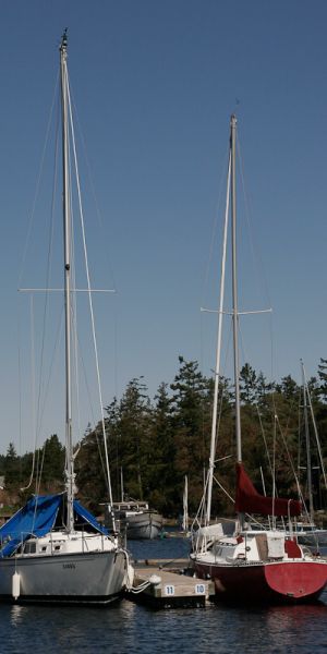 two sailboats.jpg